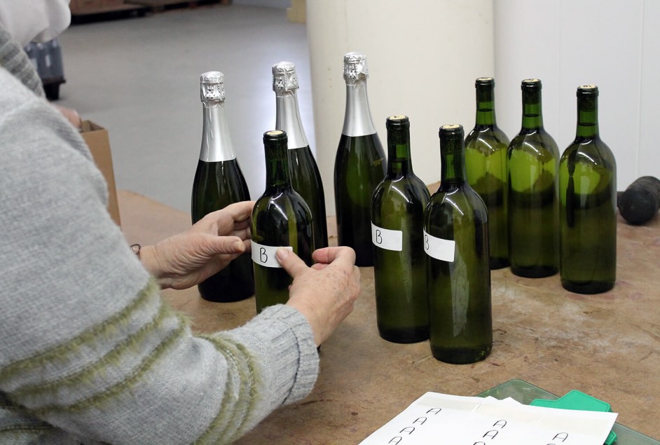 Coleta da 19ª Seleção dos Melhores Vinhos, Espumantes e Sucos de Garibaldi - Créditos: Fernanda De Antoni Farias