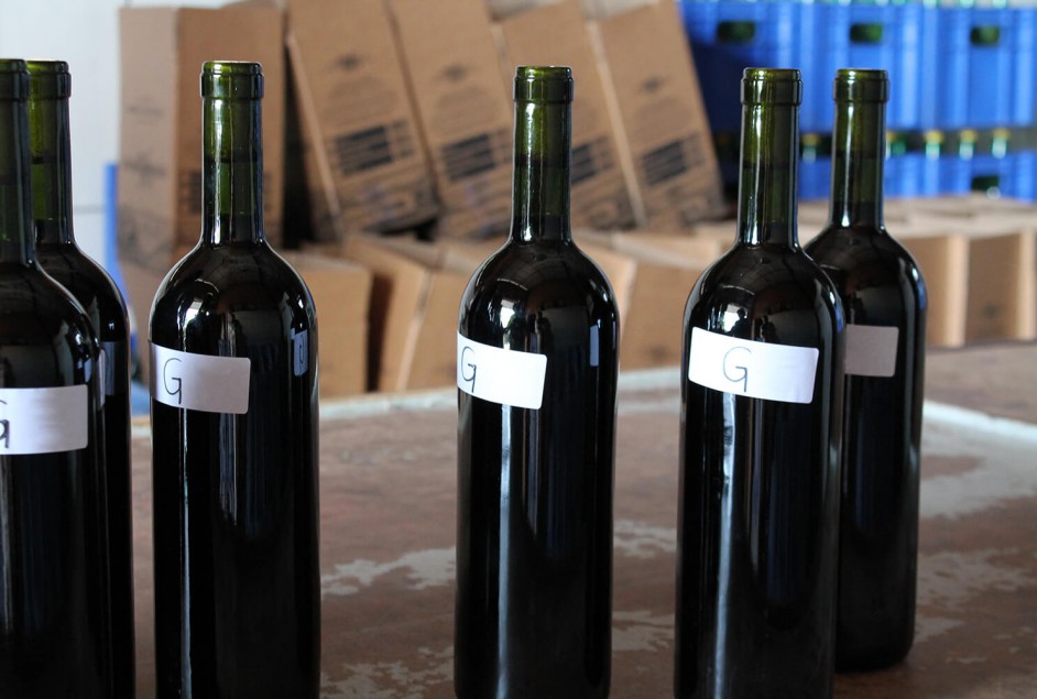 Coleta da 19ª Seleção dos Melhores Vinhos, Espumantes e Sucos de Garibaldi - Créditos: Fernanda De Antoni Farias