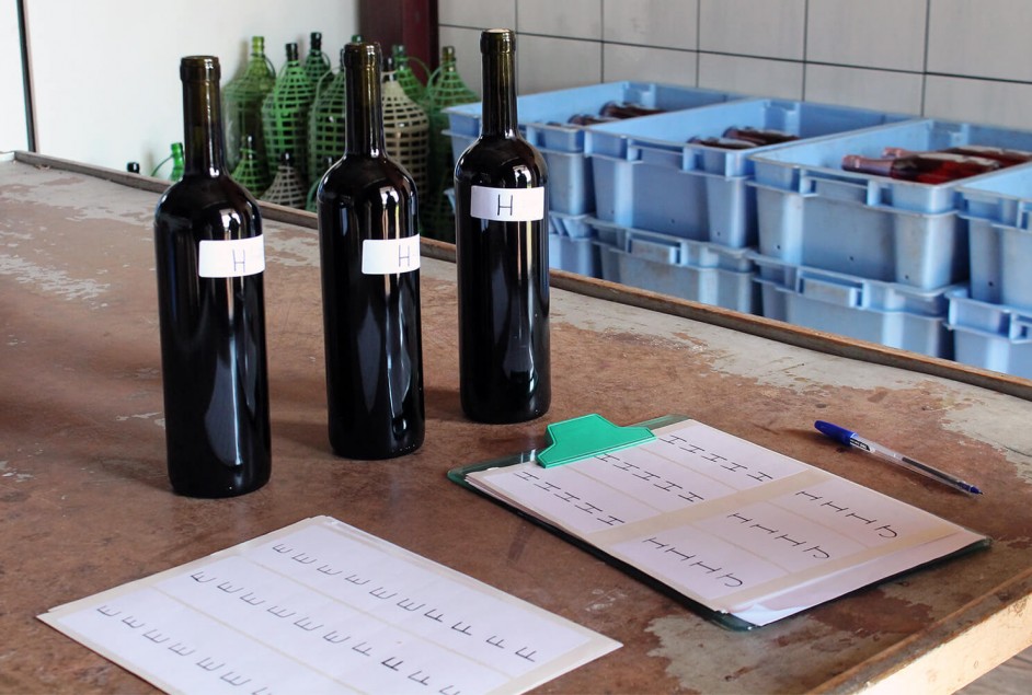 Coleta da 19ª Seleção dos Melhores Vinhos, Espumantes e Sucos de Garibaldi - Créditos: Fernanda De Antoni Farias