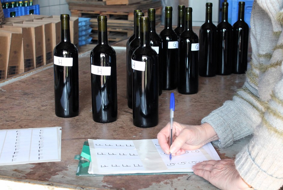 Coleta da 19ª Seleção dos Melhores Vinhos, Espumantes e Sucos de Garibaldi - Créditos: Fernanda De Antoni Farias