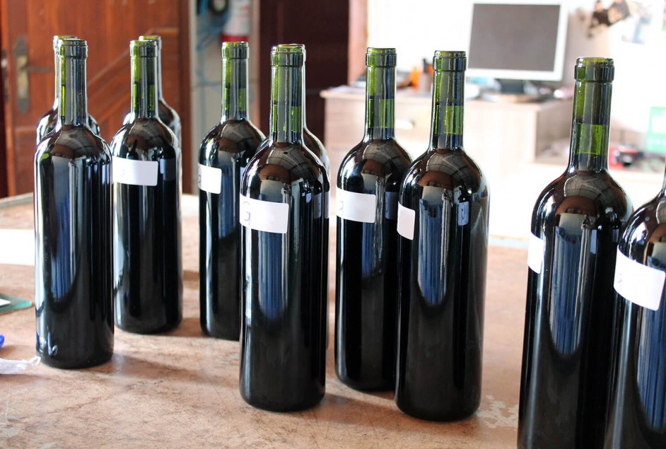 Coleta da 19ª Seleção dos Melhores Vinhos, Espumantes e Sucos de Garibaldi - Créditos: Fernanda De Antoni Farias